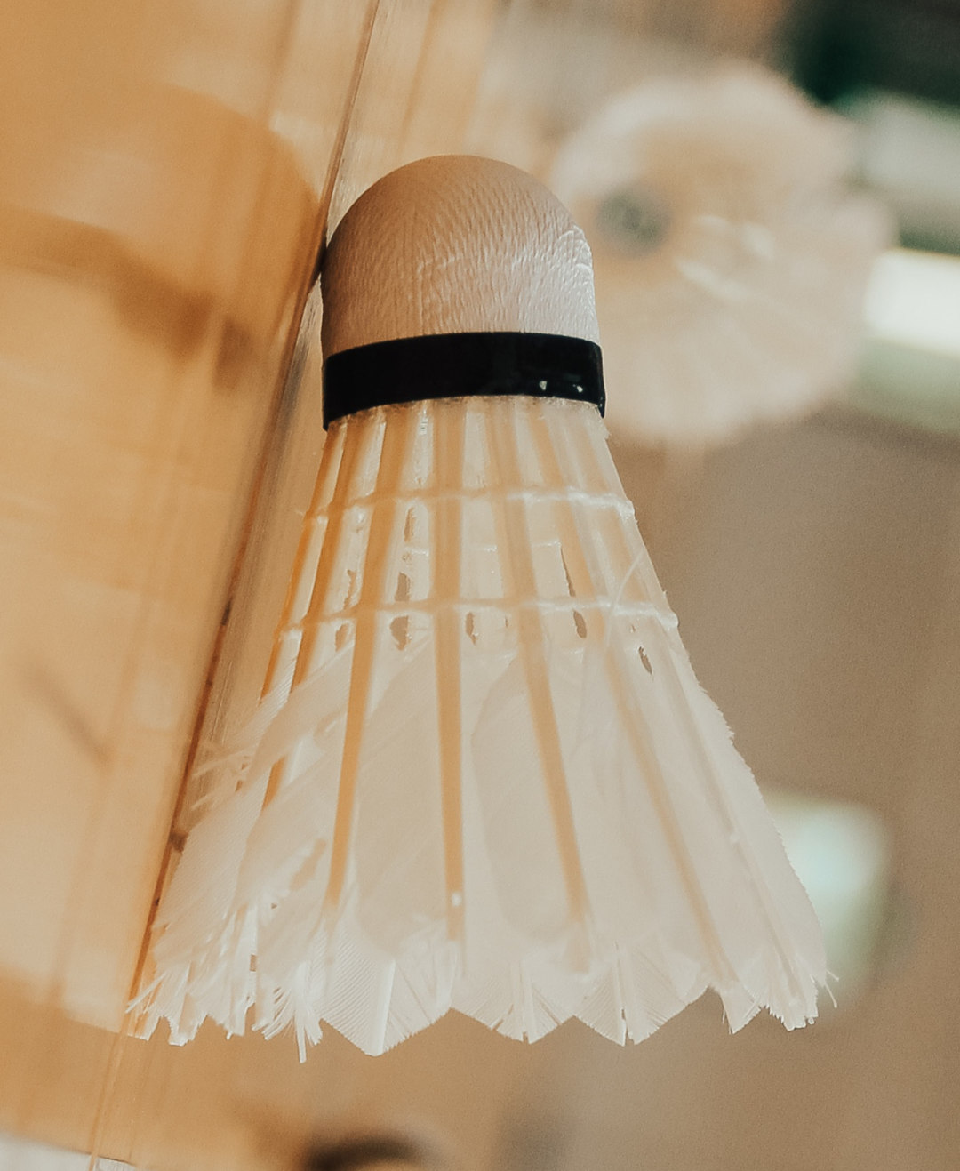 Shuttlecock